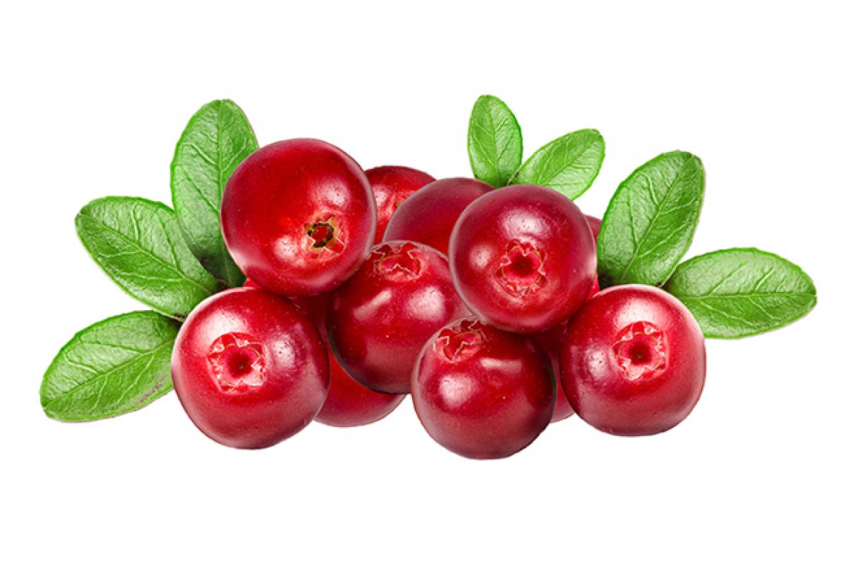 Prevent Urinary Tract Infections with cranberries