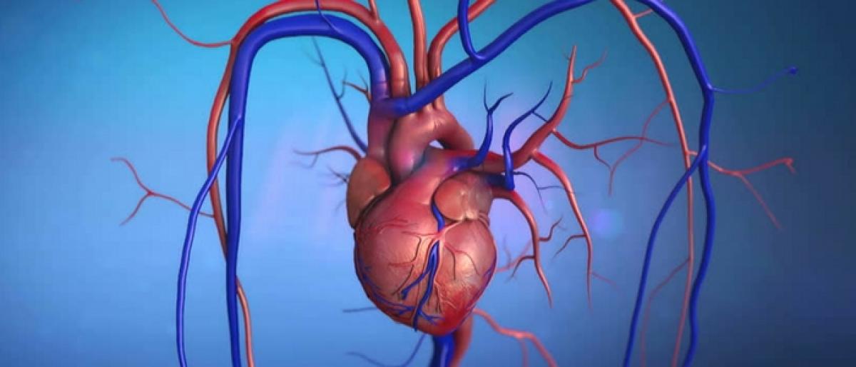 Humans could regenerate heart cells in future