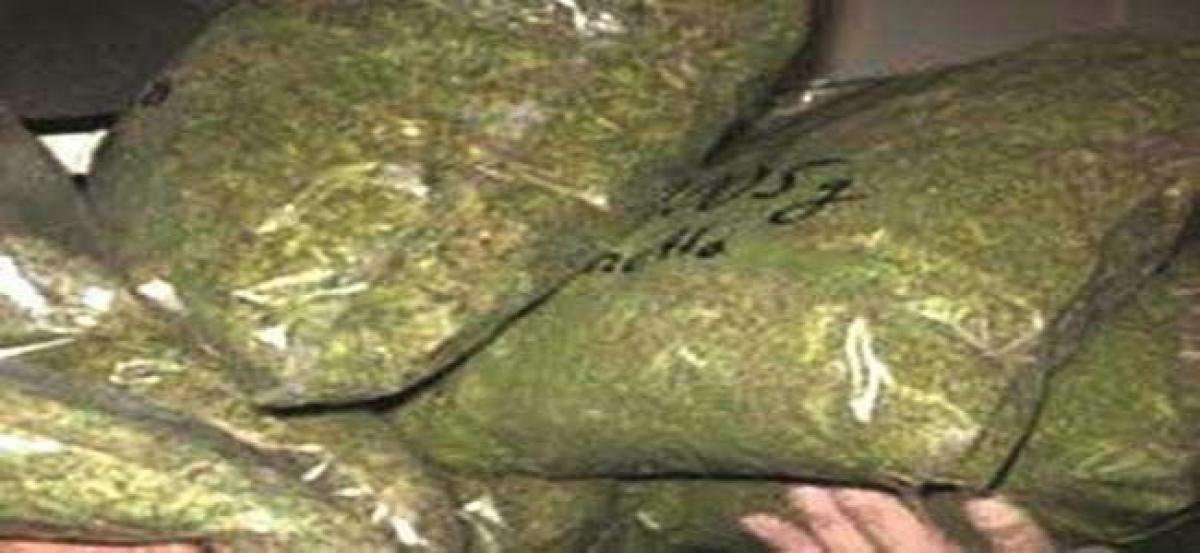 82 kgs of ganja seized, four held
