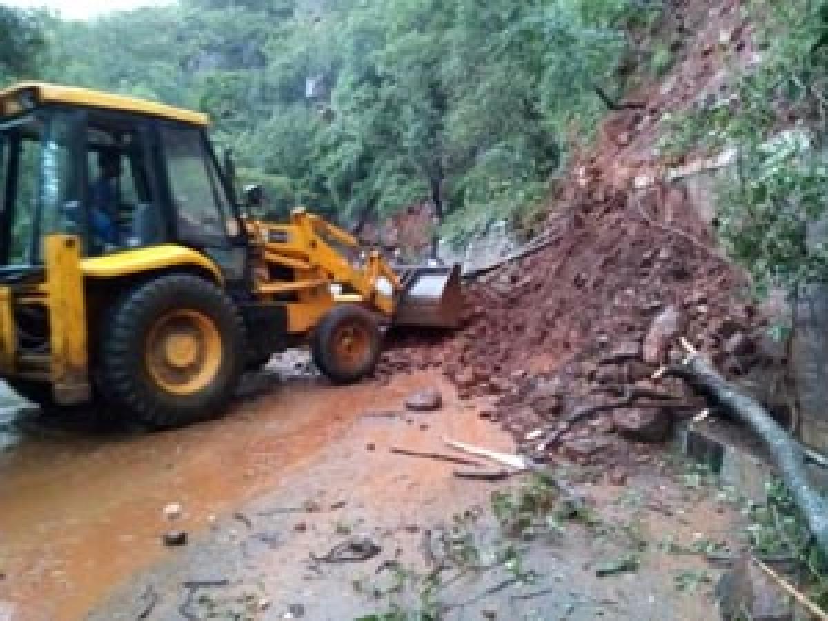 Landslides, wild animals cause panic 