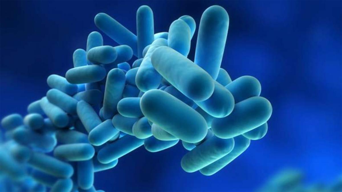 Even bacteria trade inside our body