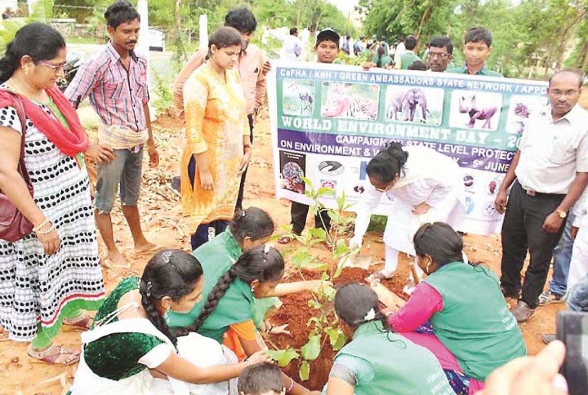 Workshop on environment protection