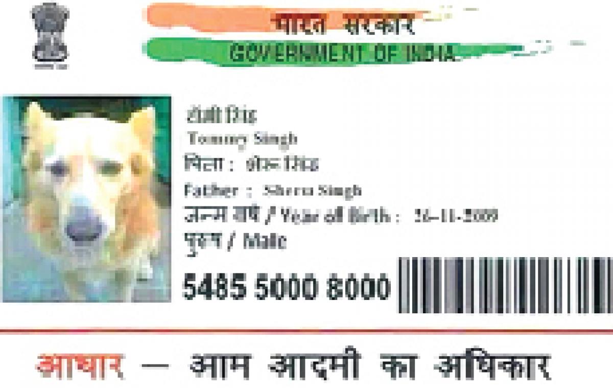 Man held for getting Aadhaar card for dog