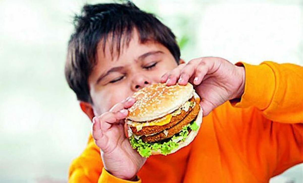 Junk Food May Shrink Your Brain: Study