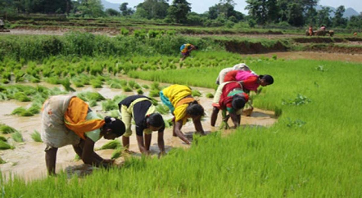 Capital formation in Telangana State agri sector weakening