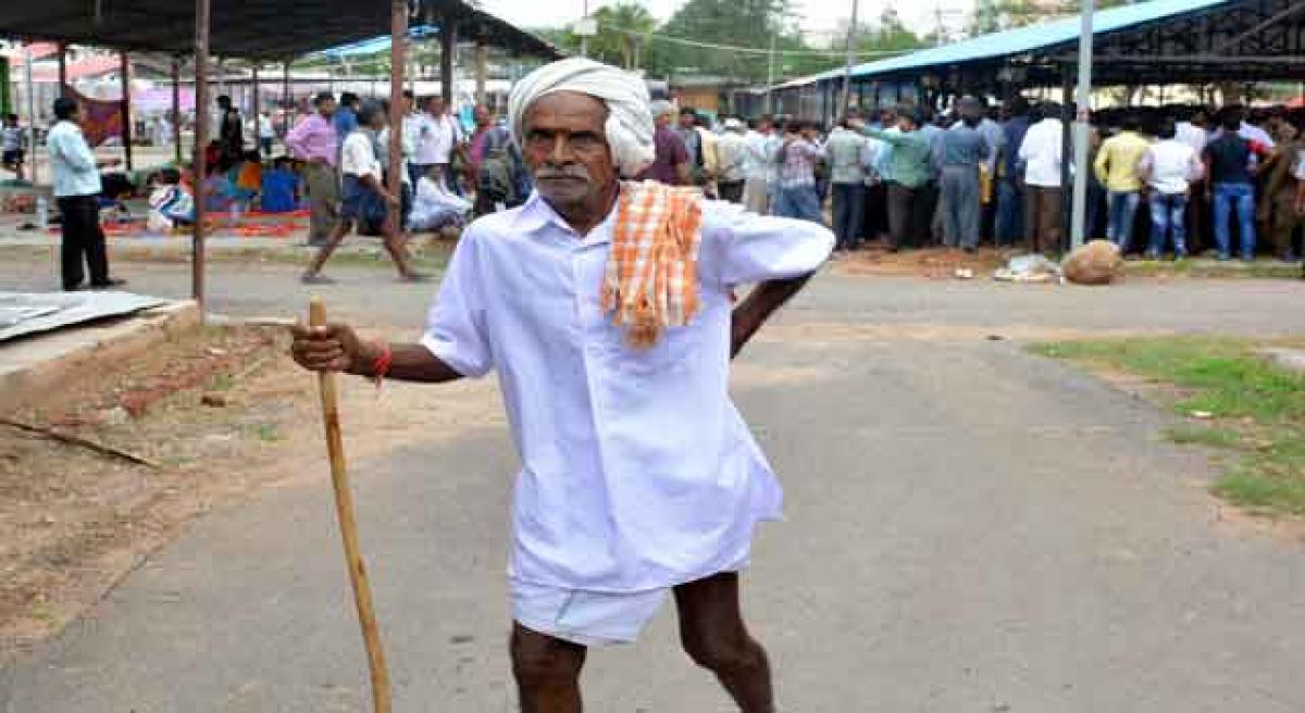 Fish medicine distribution from today