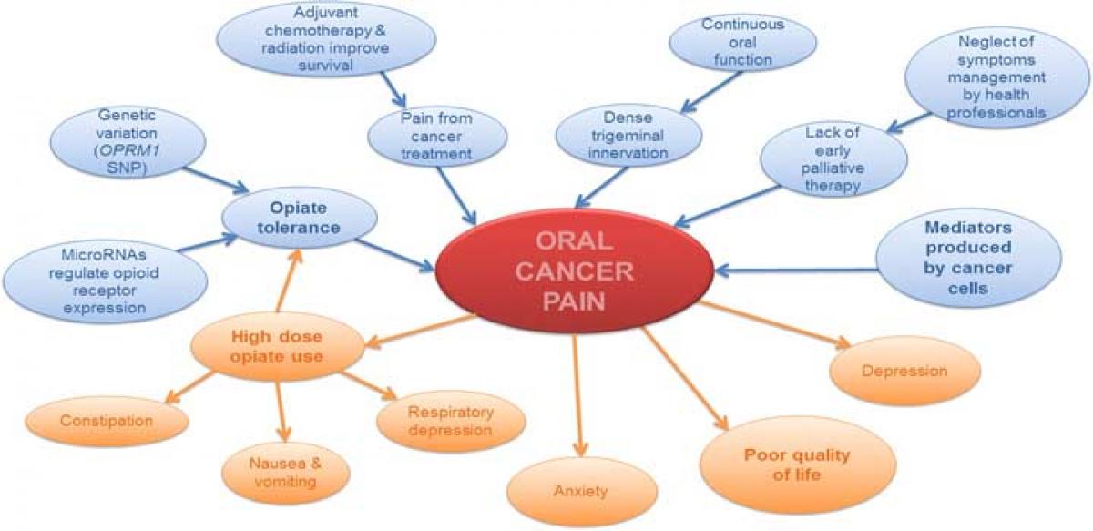 Oral cancer at an alarming high