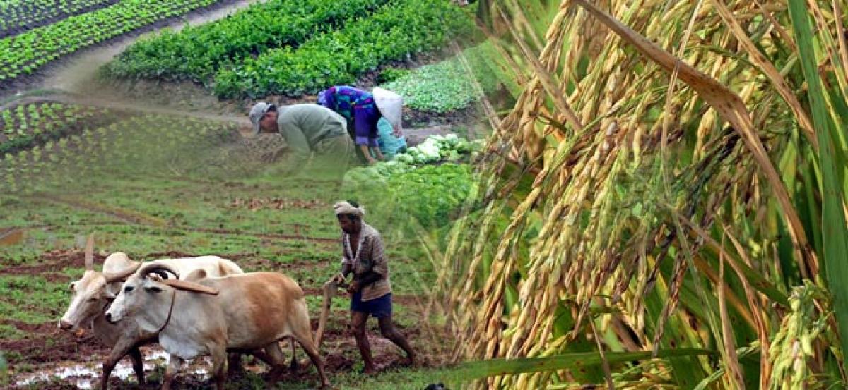 Strategies suggested for doubling farmers’ income in Telangana