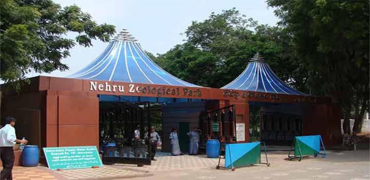 46,000 visitors for Vanya Prani Saptah at zoo