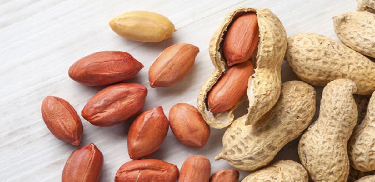 Peanuts may hold key to preventing obesity