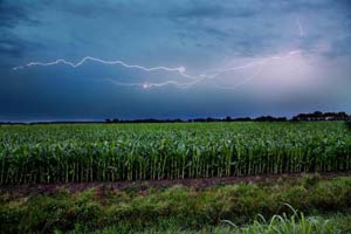 Thunderstorms likely in TS districts 