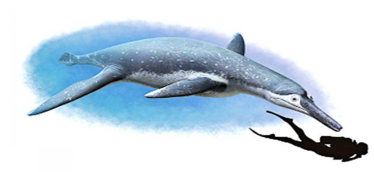 New species of ancient marine reptile discovered