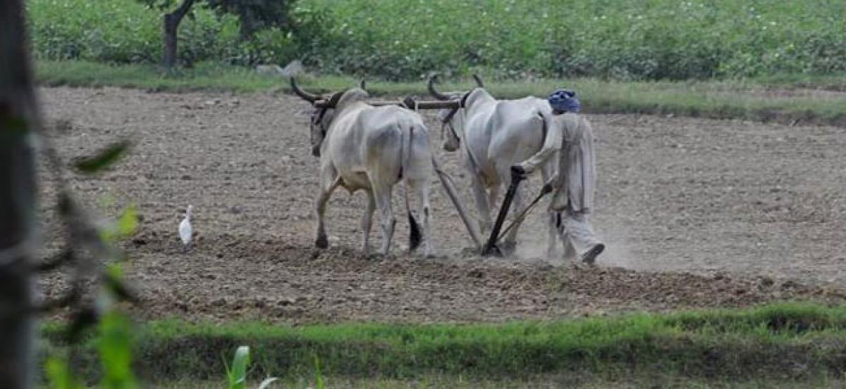 Agriculture department  gears up for kharif