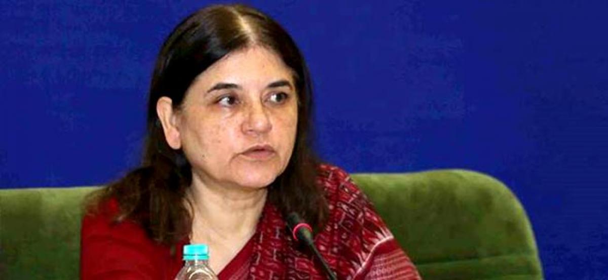 Govt will have institutional mechanism to tackle child porn: Maneka Gandhi