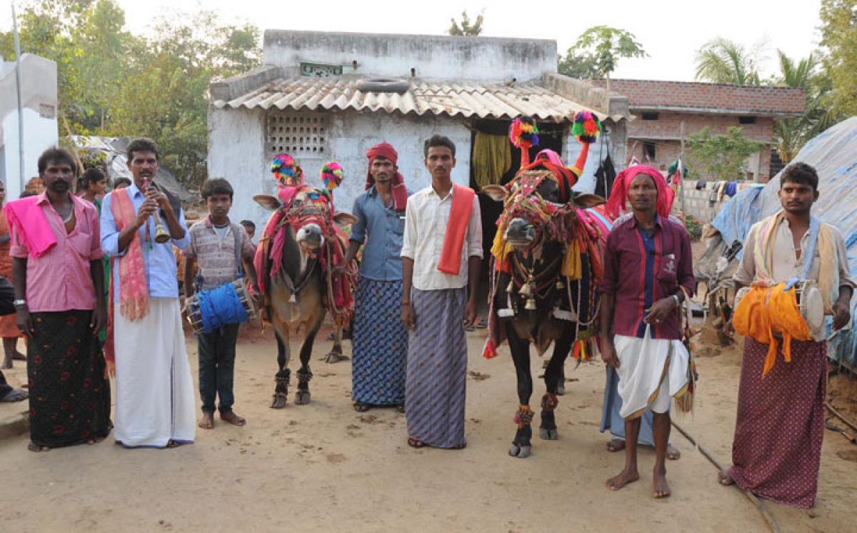 Gangireddu brings no cheers to the performers