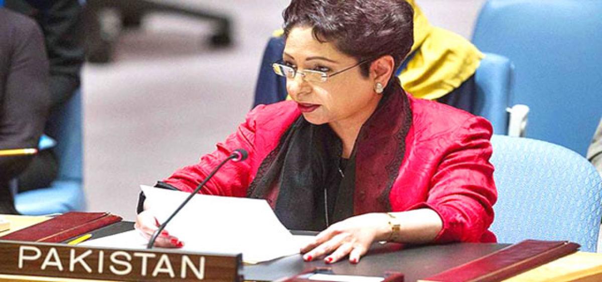 Pak hands over dossier on India’s interference to UN