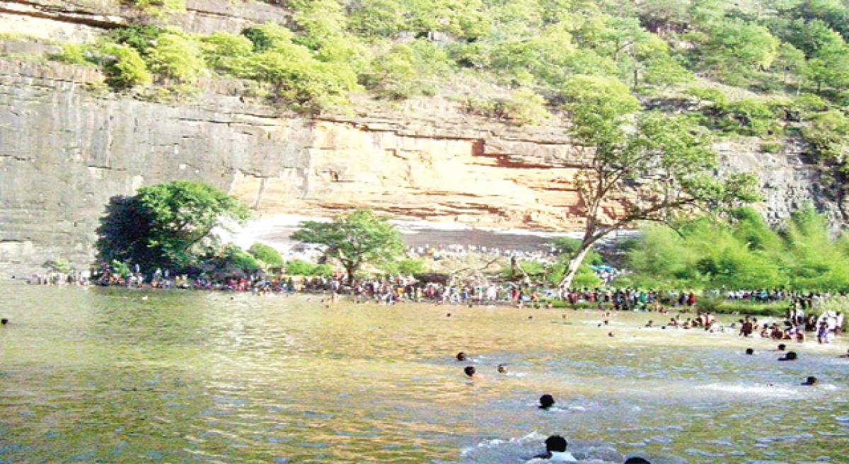 Devotees throng Palanka shrine