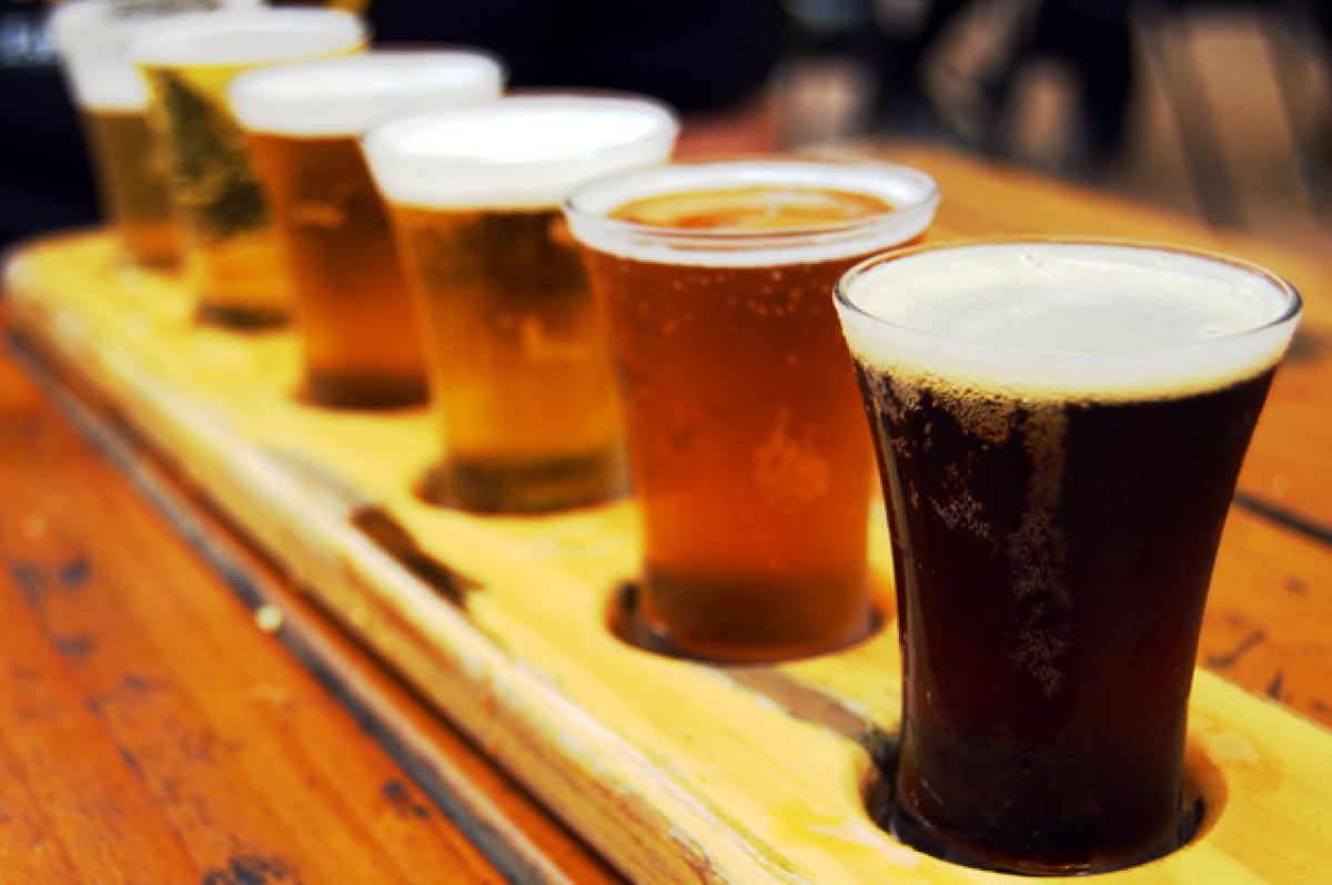 Heavy beer drinkers face risk of deadly mycotoxins