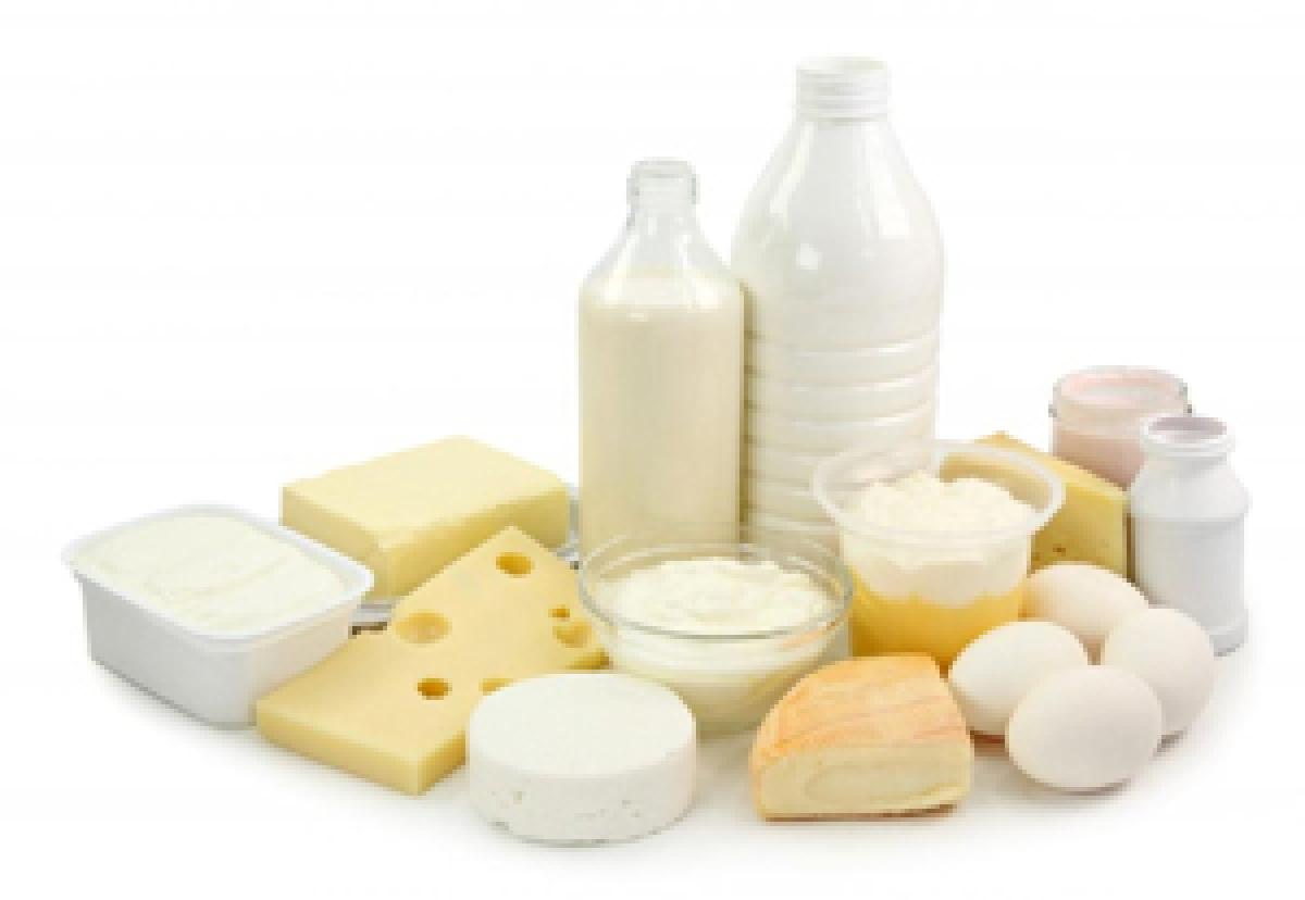 Dairy products make probiotics more effective