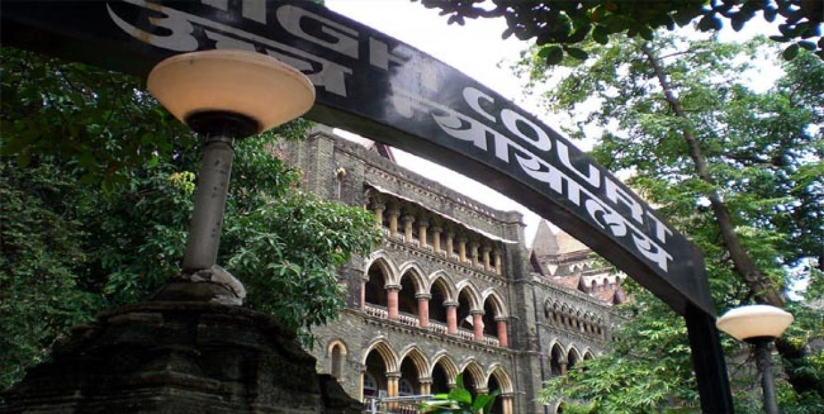 Maha govt doesnt seem to value state human rights panel: HC