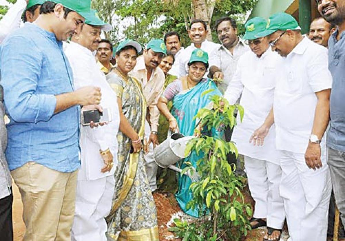 Keep pollution away with enhancement of greenery