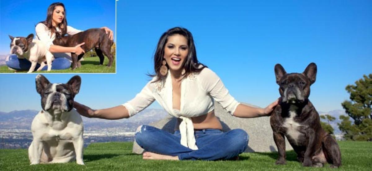 Sunny Leone says she is against any type of cruelty to animals