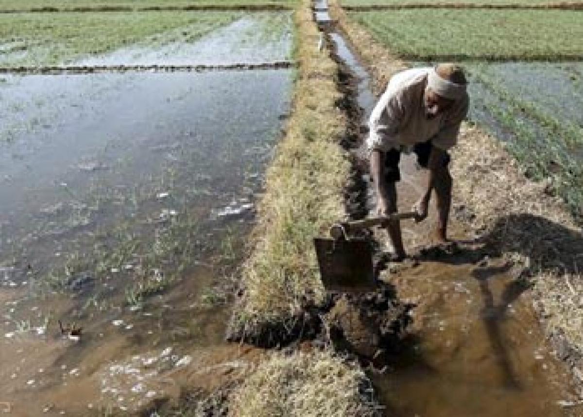 52 mn Indians may have to depend on rural job plan for 20 years