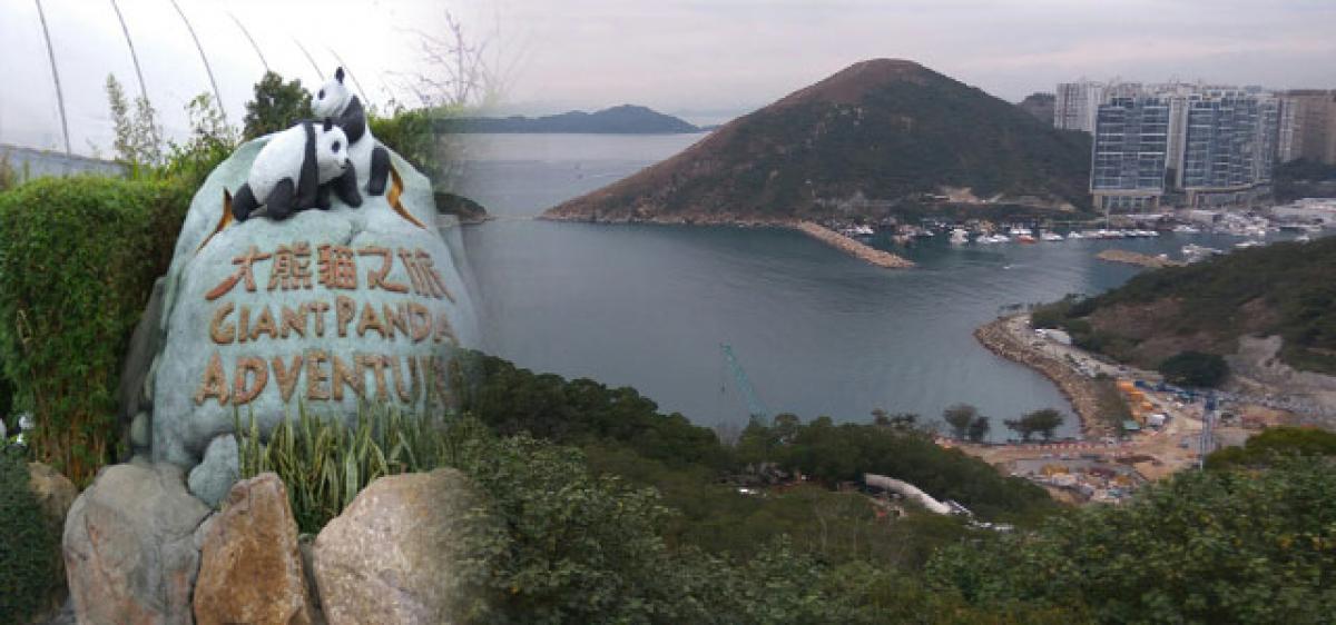 In Hong Kong, visit a park spread over two islands