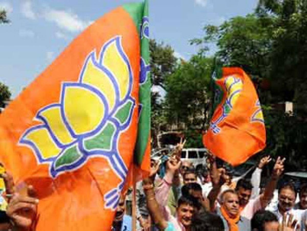 BJP to fight it out