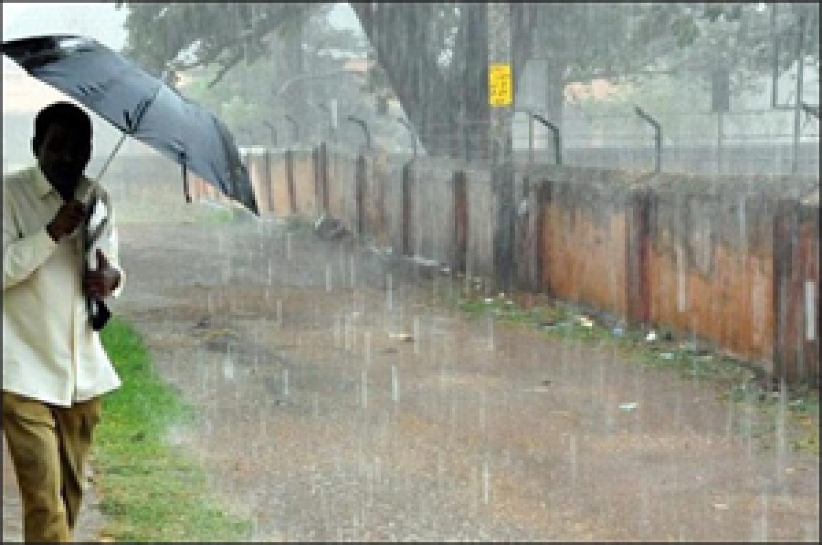 Rain, thundershowers likely in Karnataka