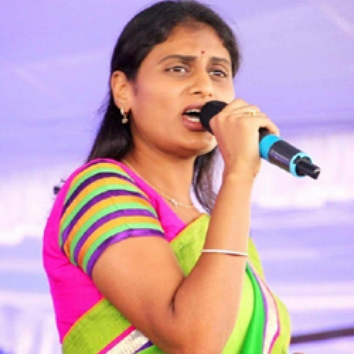 Sharmilas sensational comments against Chandrababu