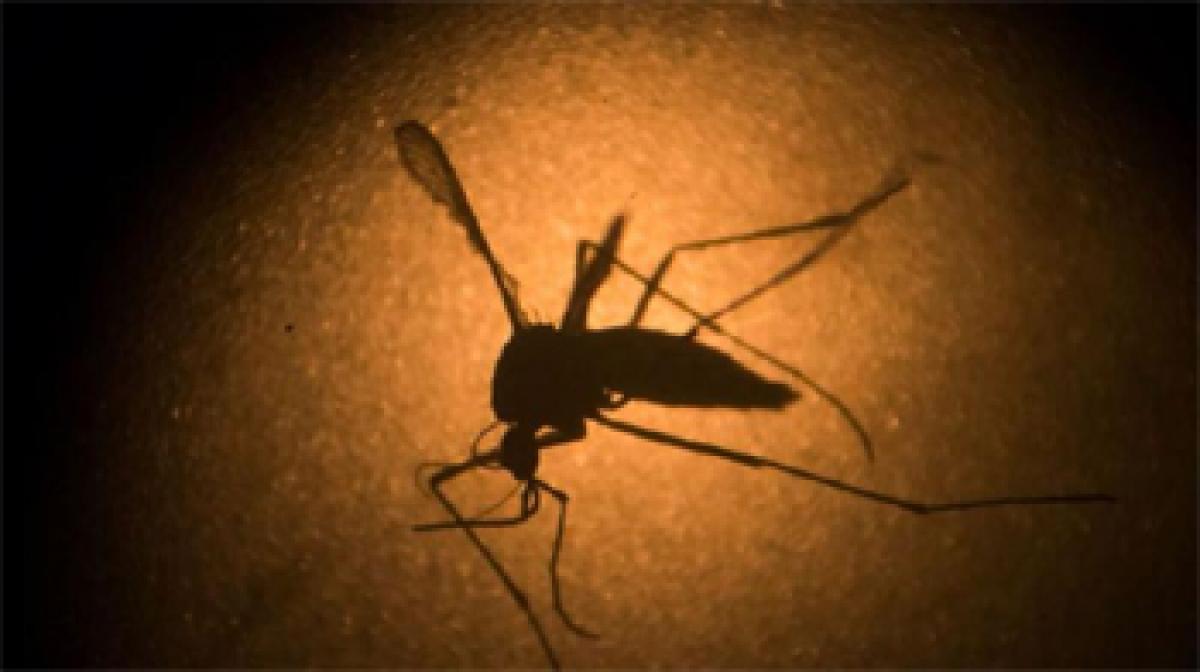 Men with Zika should wait six months before unprotected sex: US