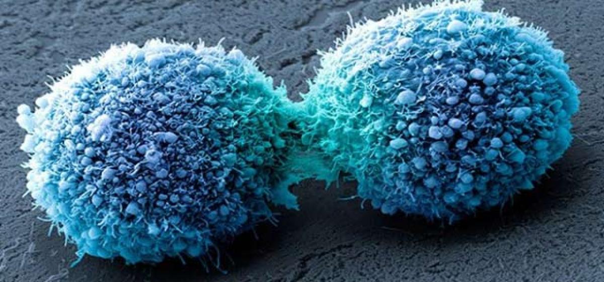 Drug that melts cancer cells approved for human use