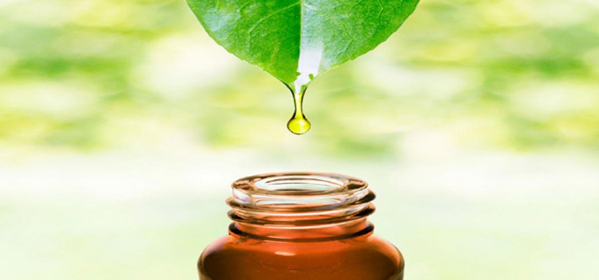 The goodness of tea tree oil