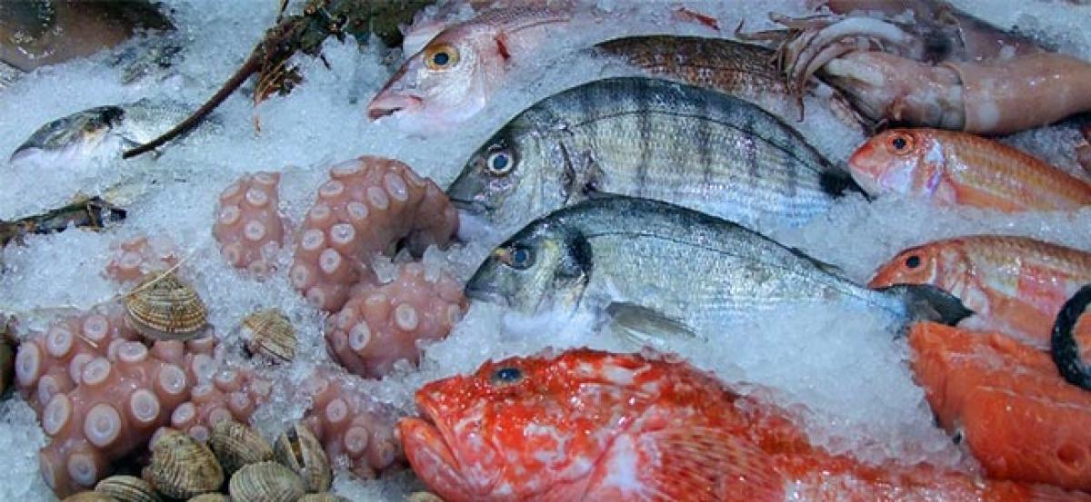 Frozen Seafood market to witness the fastest growth in Czech Republic: Ken Research