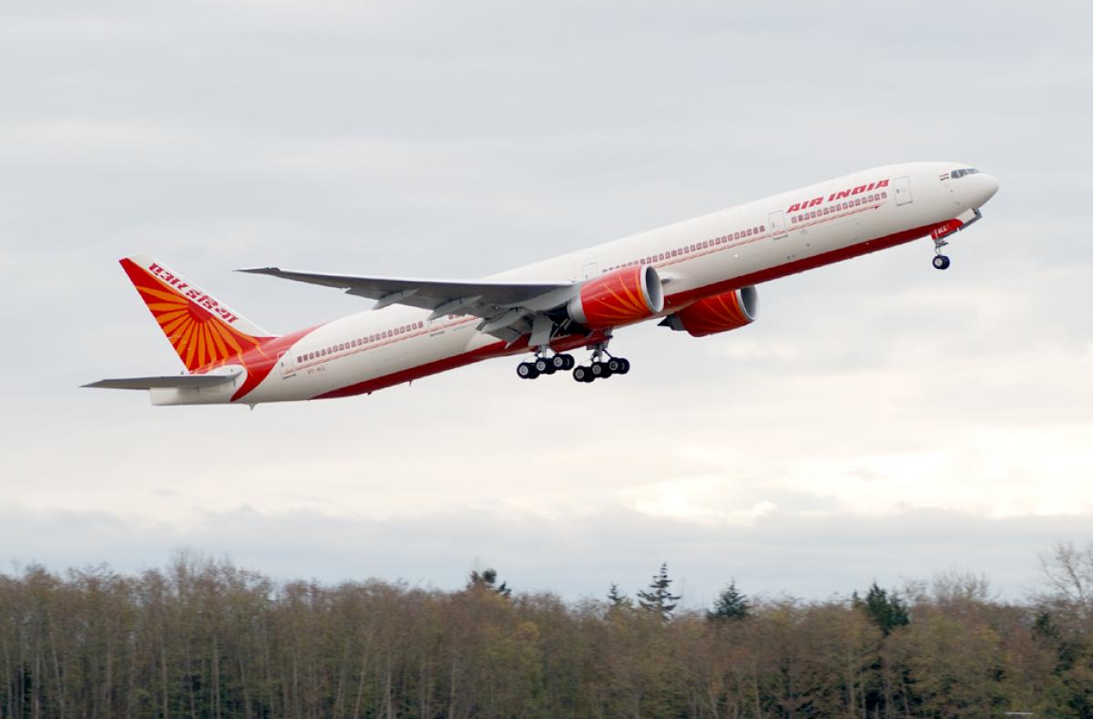 Air India flight hit by a bird, all passengers safe