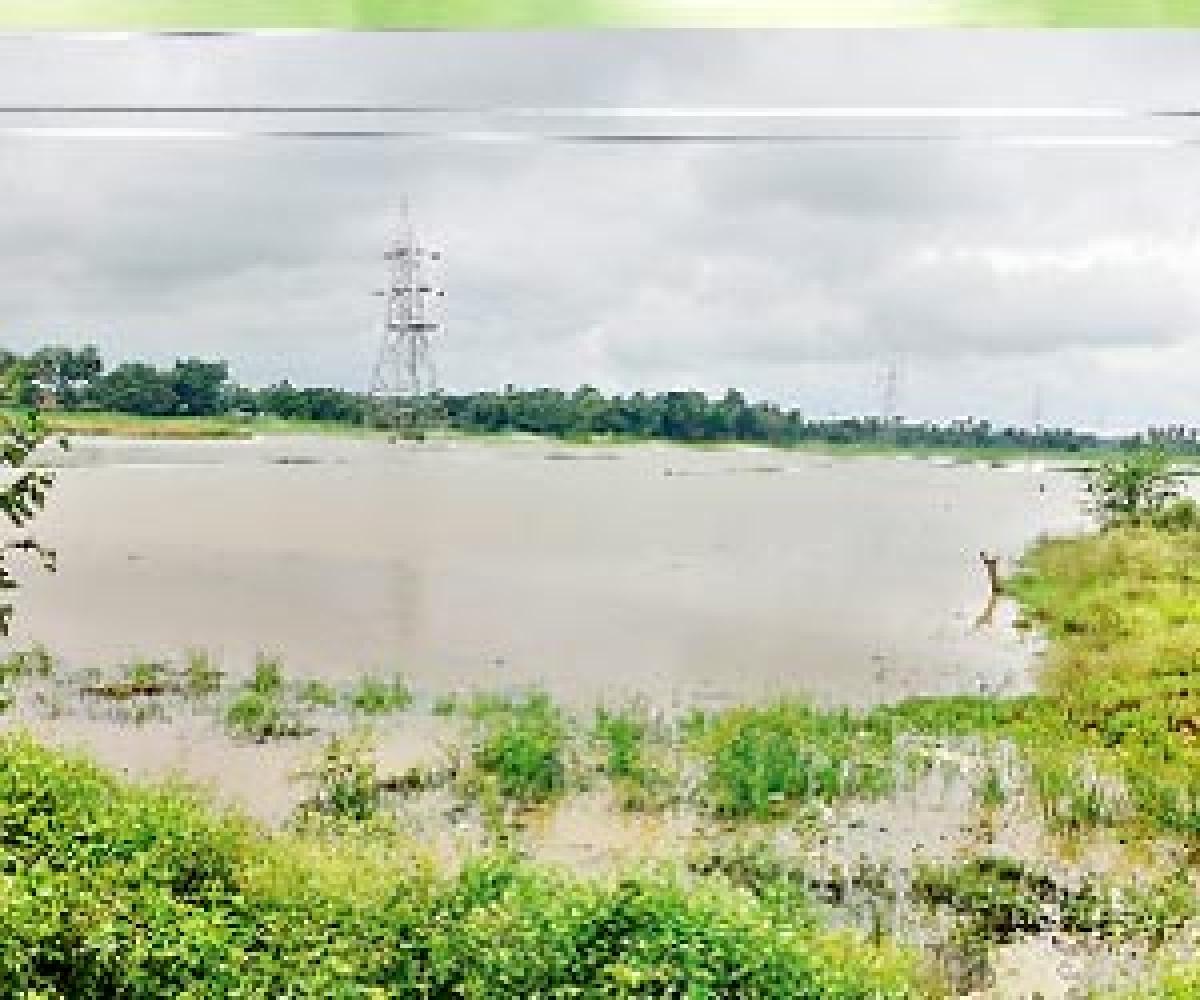 Paddy fields submerged in upland areas