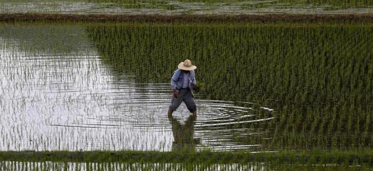 Japan hopes to leave farms out of U.S. economic talks