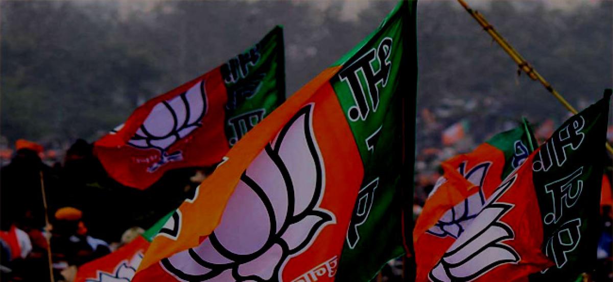 MP: BJP MLAs son, friends accused of assault