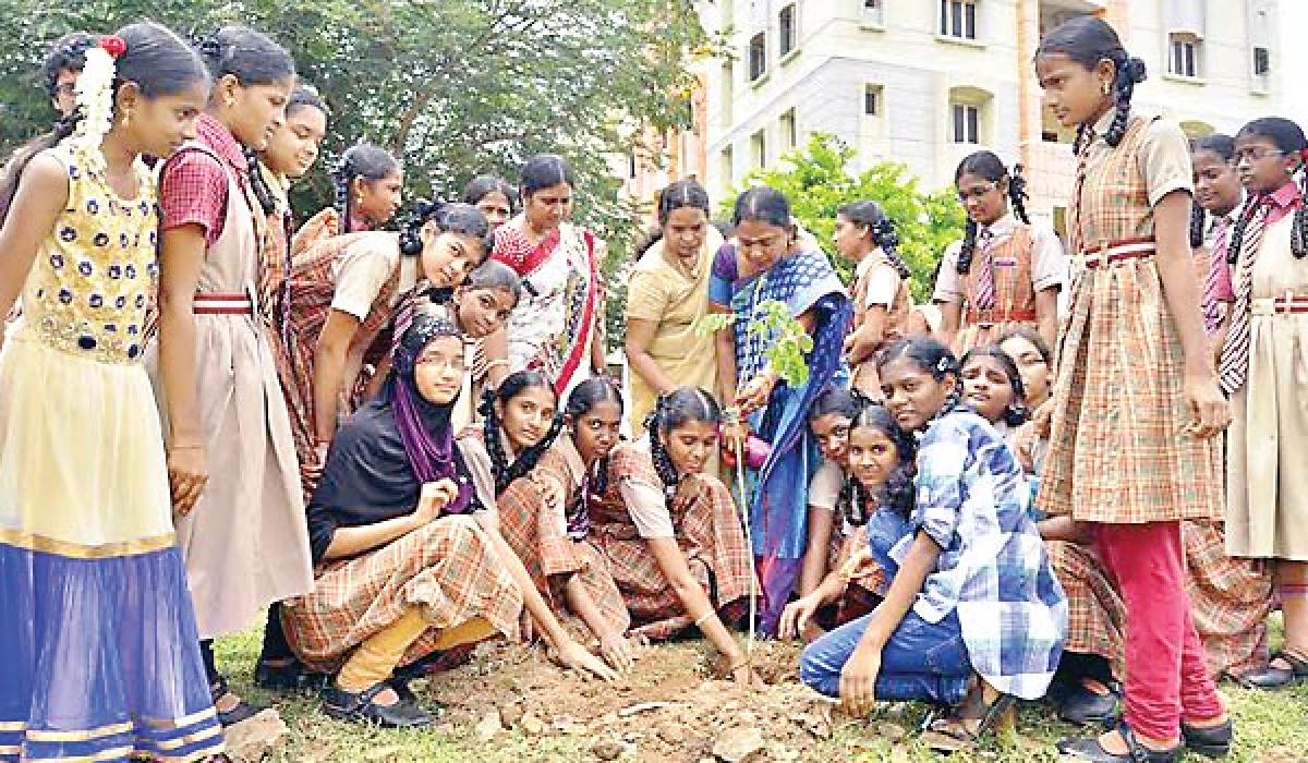 Social welfare students plant saplings