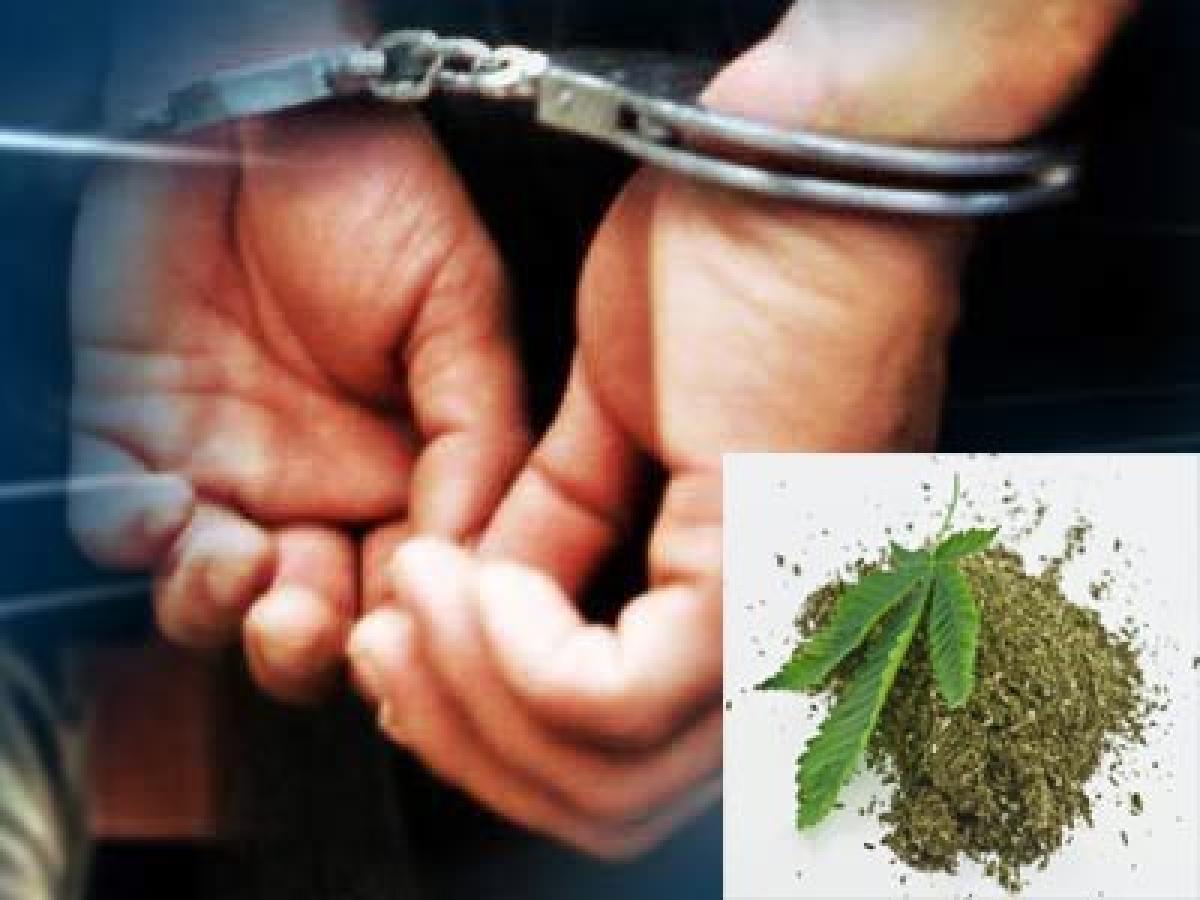 Two held for ganja smuggling