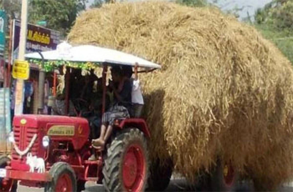 Fodder scarcity looms large over Warangal