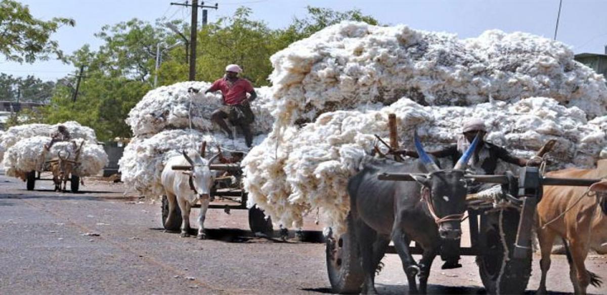 Cotton farmers say no to CCI centres