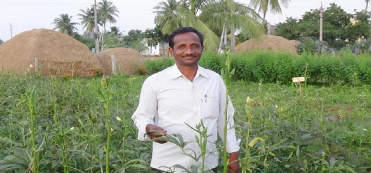 Cultivating 20 crops in one acre 