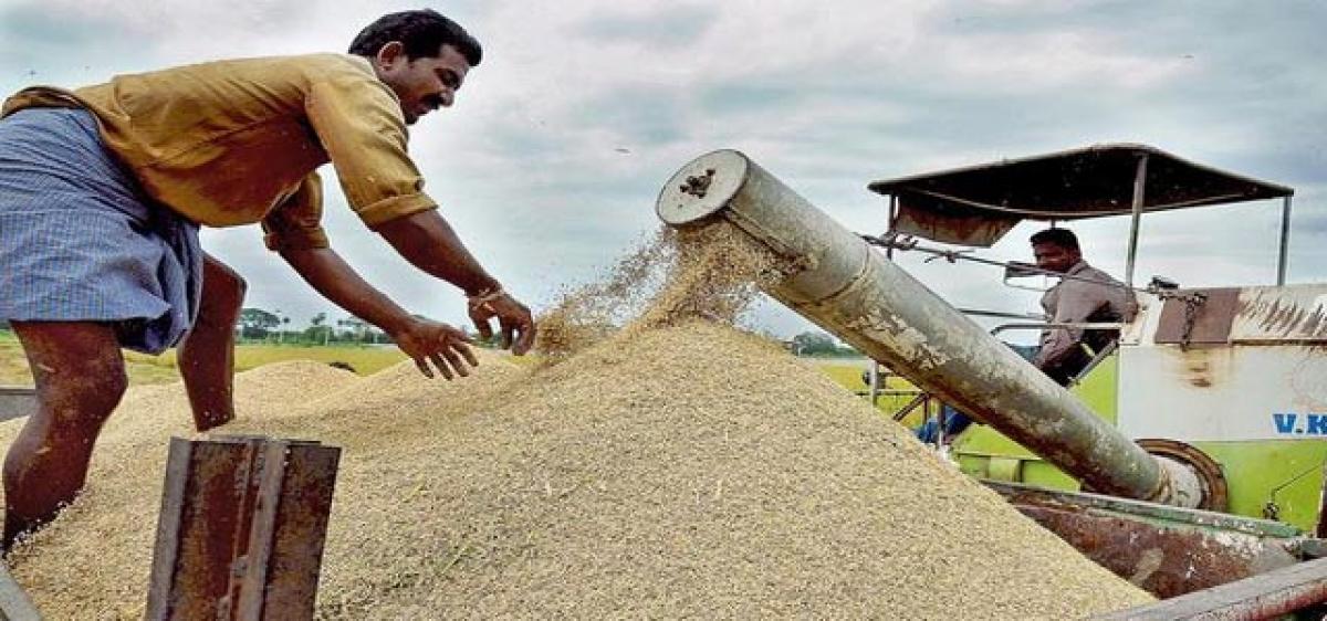 Farmers’ body demands MSP for paddy