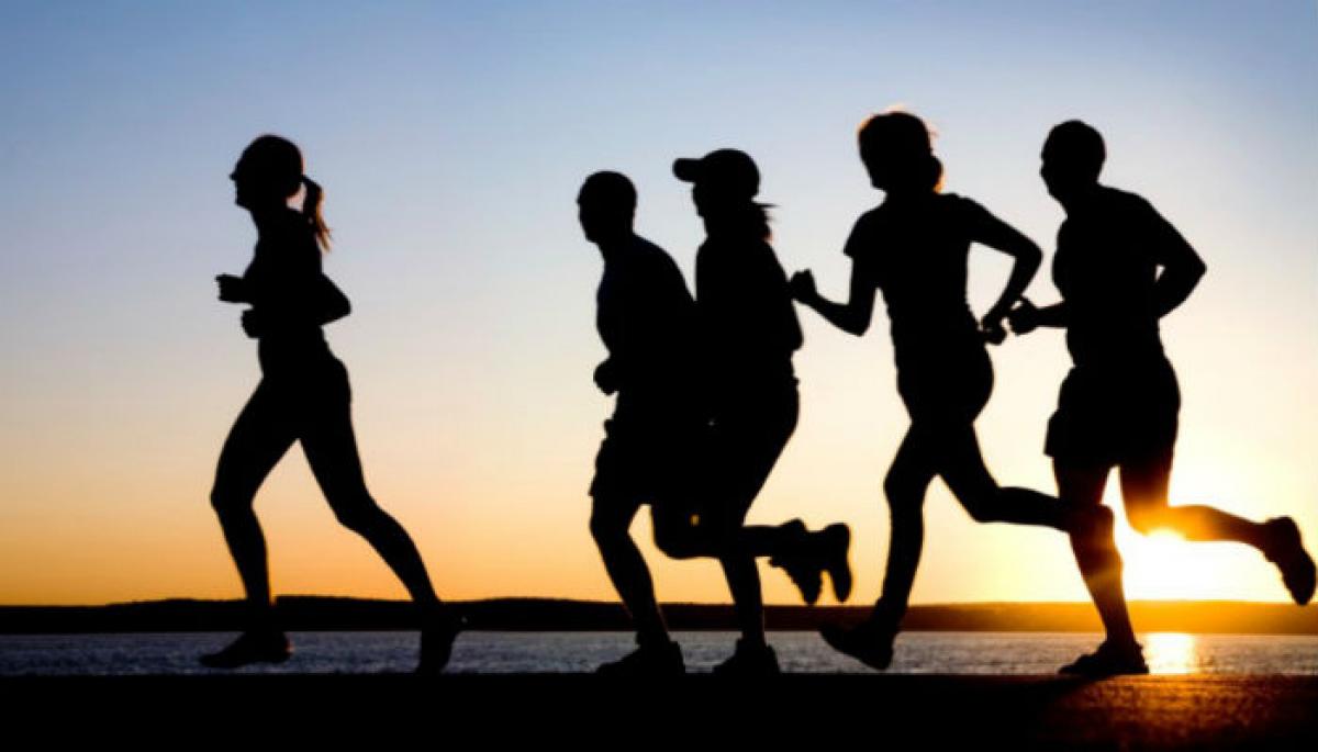 Exercise-induced hormone irisin really exists, scientists confirm