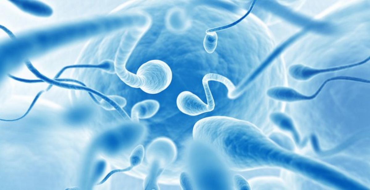 Sperm radar test: Uncover the secrets of male infertility