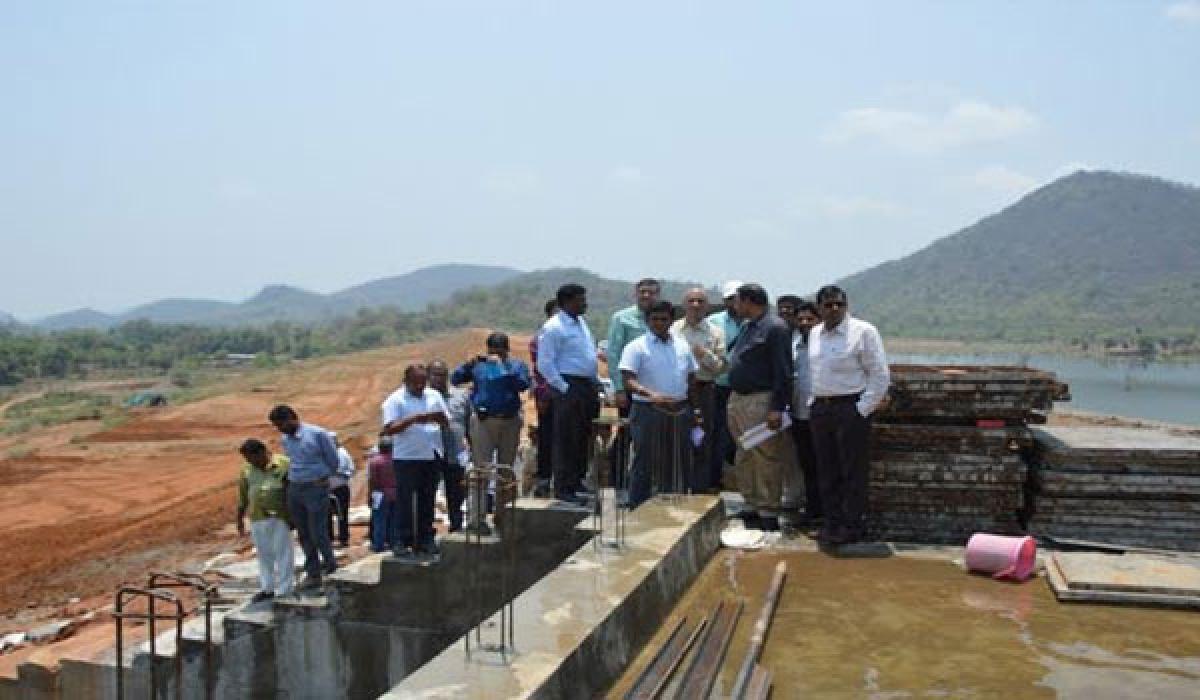 Central team visits Musurumilli project