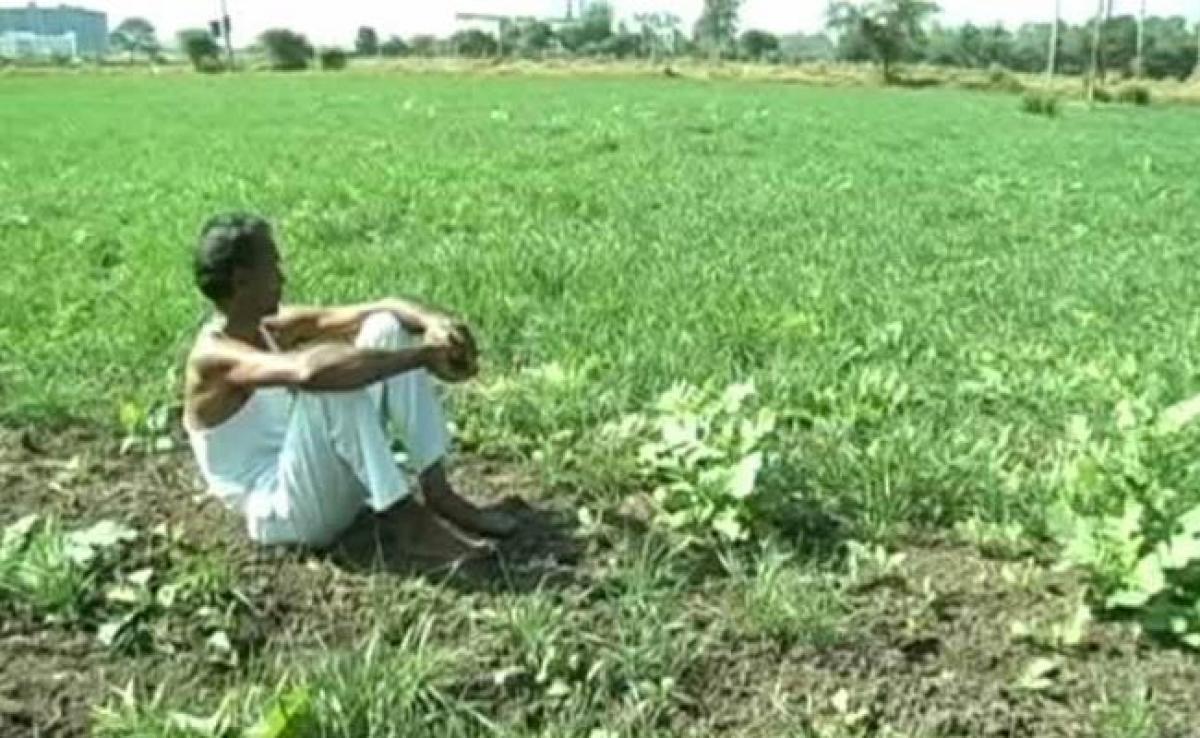 Jharkhand Farmer Kills 3-Year Old Daughter For Being A Girl