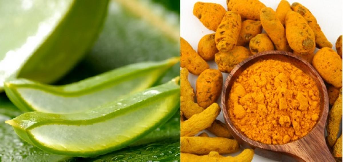 Turmeric and Aloe vera – Wonder Medicine or Villain at Home